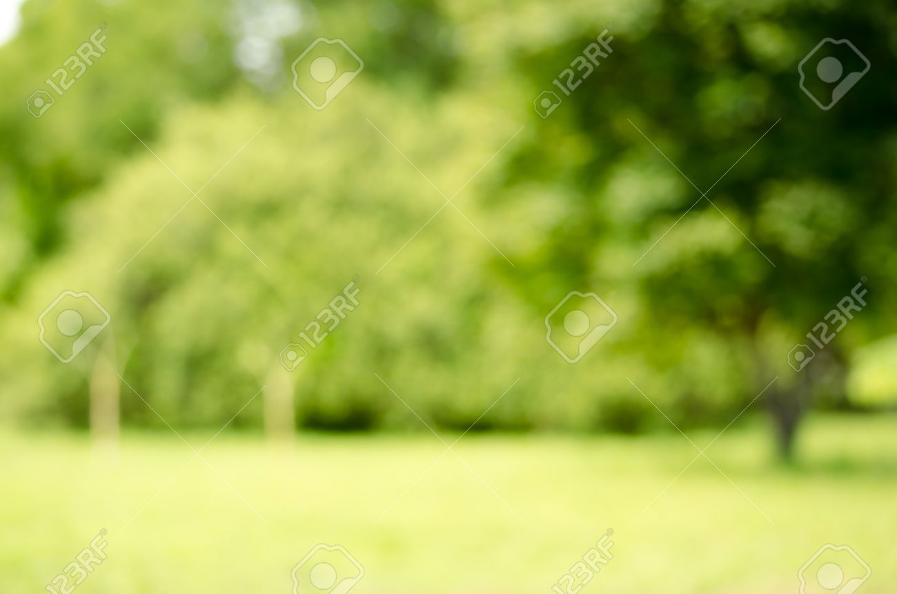 image of abstract nature blur background stock photo picture and