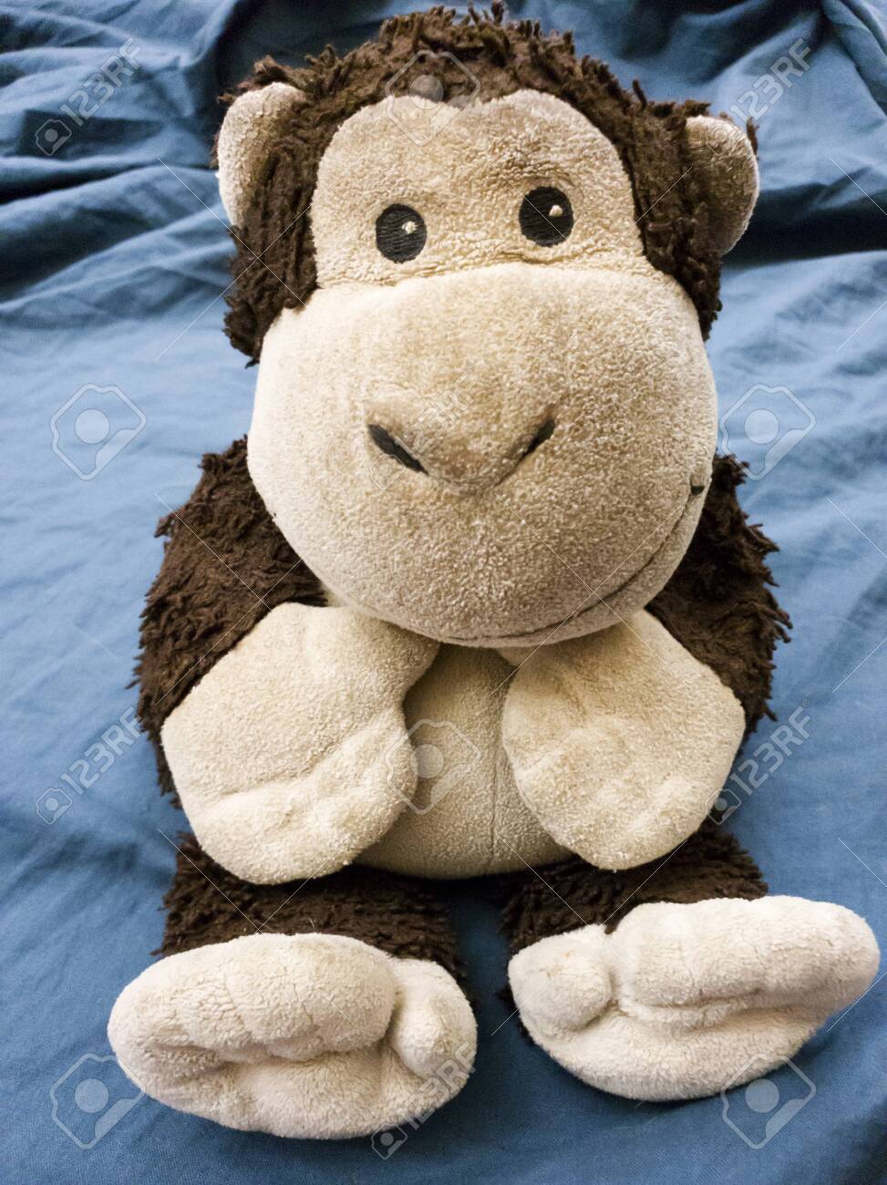 etiam-dictum-ipsum-a-felis