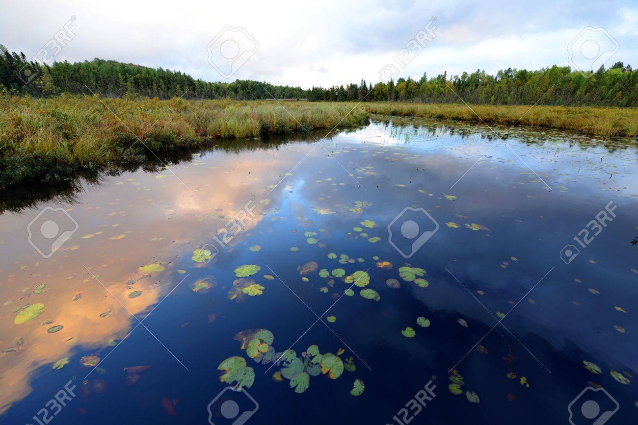 アルゴンキン州立公園 オンタリオ州 カナダでの早朝風景 の写真素材 画像素材 Image アルゴンキン州立公園 オンタリオ州 カナダでの早朝風景 の写真素材 画像素材 Image