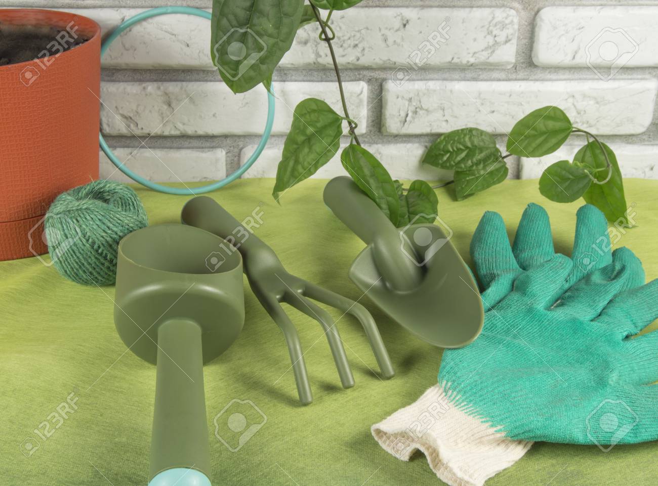 etiam-dictum-ipsum-a-felis