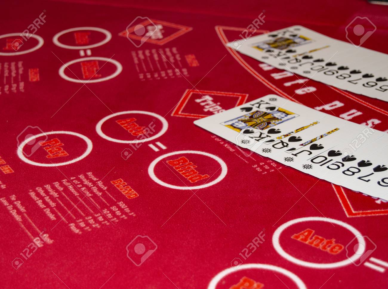 Msc cruise port dubai