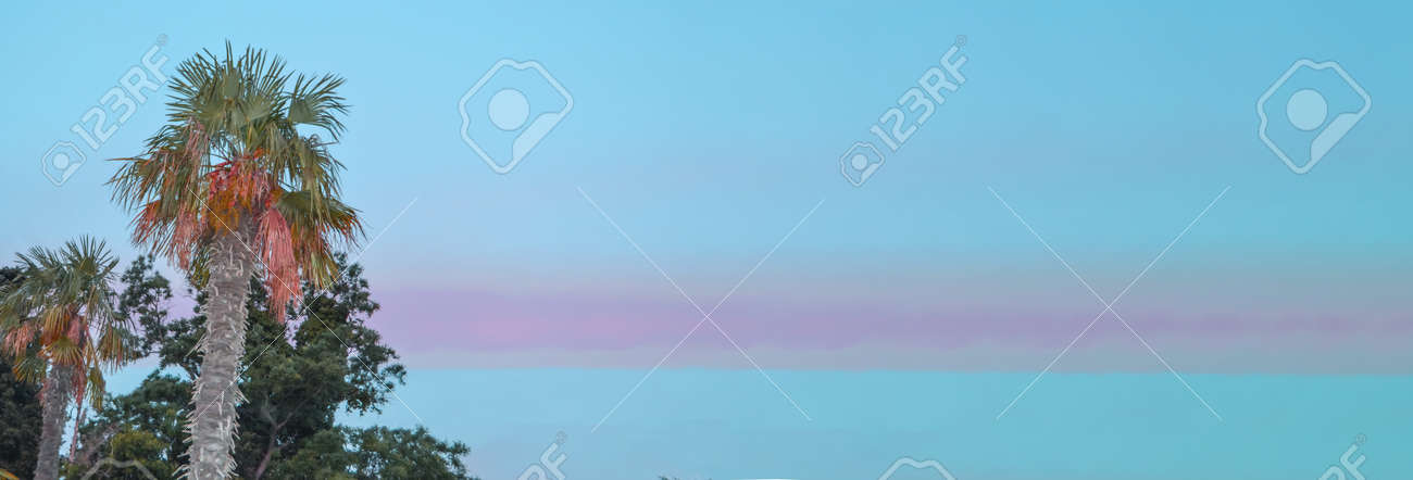Tropical landscape banner background. Coconut palm against THE BACKGROUND of the SUNSET LILAC SKY, a copy of the space. - 168985179 Tropical landscape banner background. Coconut palm against THE BACKGROUND of the SUNSET LILAC SKY, a copy of the space. - 168985179