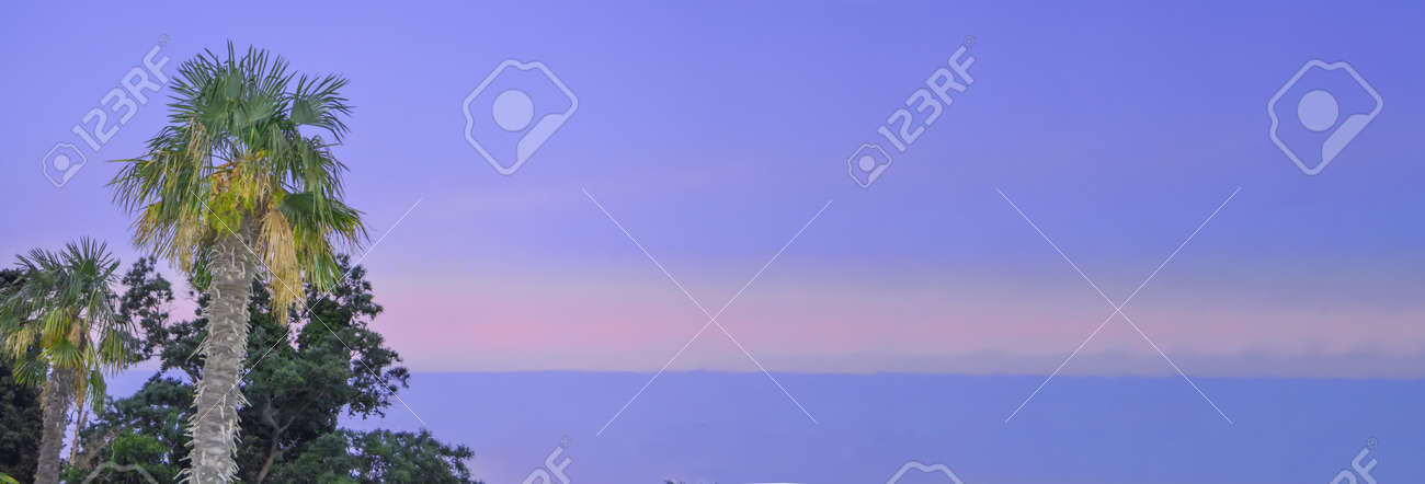Tropical landscape banner background. Coconut palm against THE BACKGROUND of the SUNSET LILAC SKY, a copy of the space. - 168985183 Tropical landscape banner background. Coconut palm against THE BACKGROUND of the SUNSET LILAC SKY, a copy of the space. - 168985183