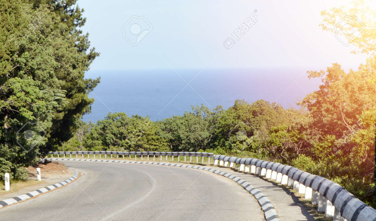 Highway leading to the sea coast, along the trees, bright sunlight - 169661570 Highway leading to the sea coast, along the trees, bright sunlight - 169661570