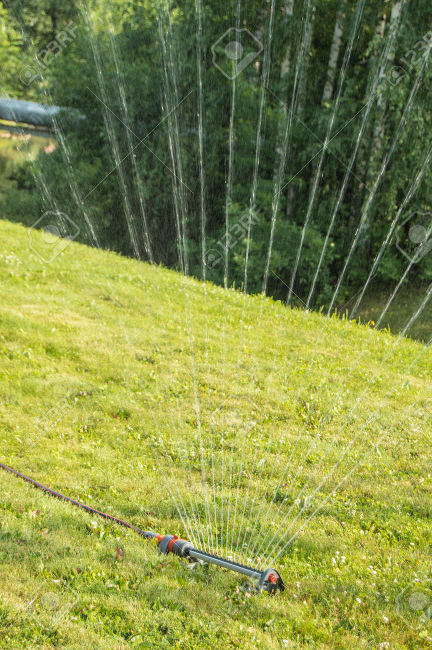 A lawn sprinkler sprays water on the green grass growing on the hillside. Modern irrigation system on a sunny summer day in the open air - 169661614 A lawn sprinkler sprays water on the green grass growing on the hillside. Modern irrigation system on a sunny summer day in the open air - 169661614