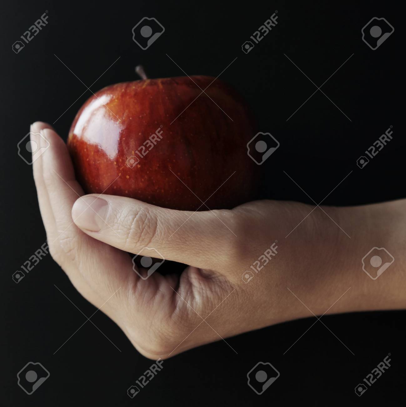 etiam-dictum-ipsum-a-felis