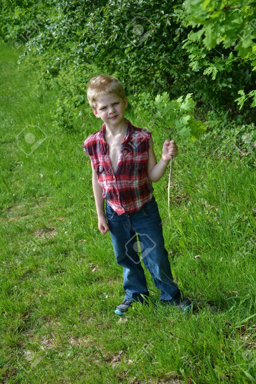 小さな金髪の少年は緑の草原に立ち枝を保持 の写真素材 画像素材 Image