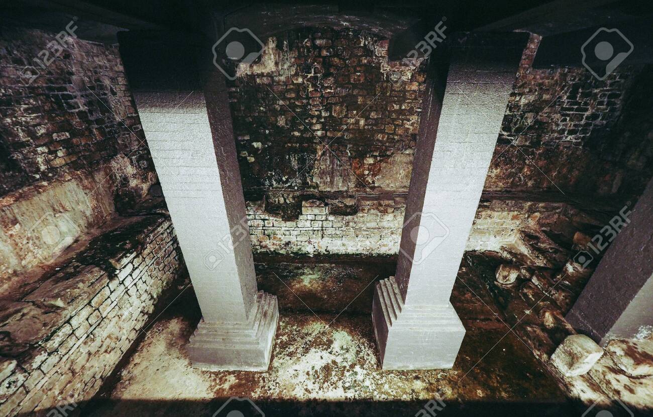 etiam-dictum-ipsum-a-felis