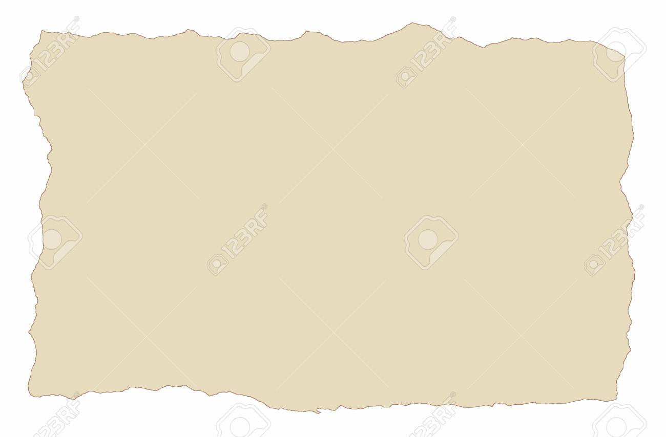 light brown parchment paper