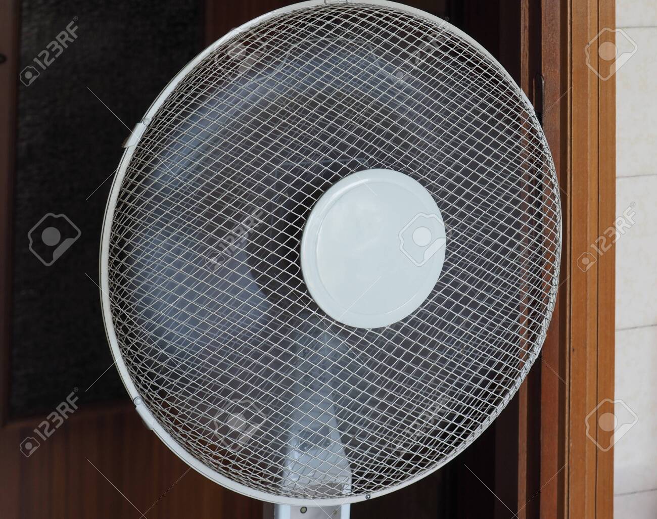 etiam-dictum-ipsum-a-felis