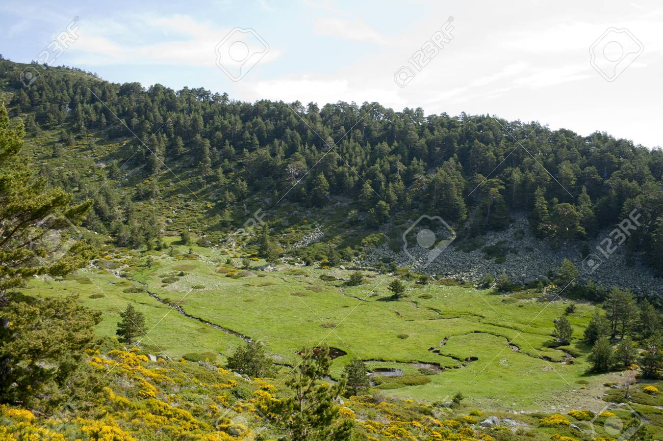 Beautiful View Of Summer Landscape With Prairie And Forest Sierra Stock Photo Picture And Royalty Free Image Image 80779521