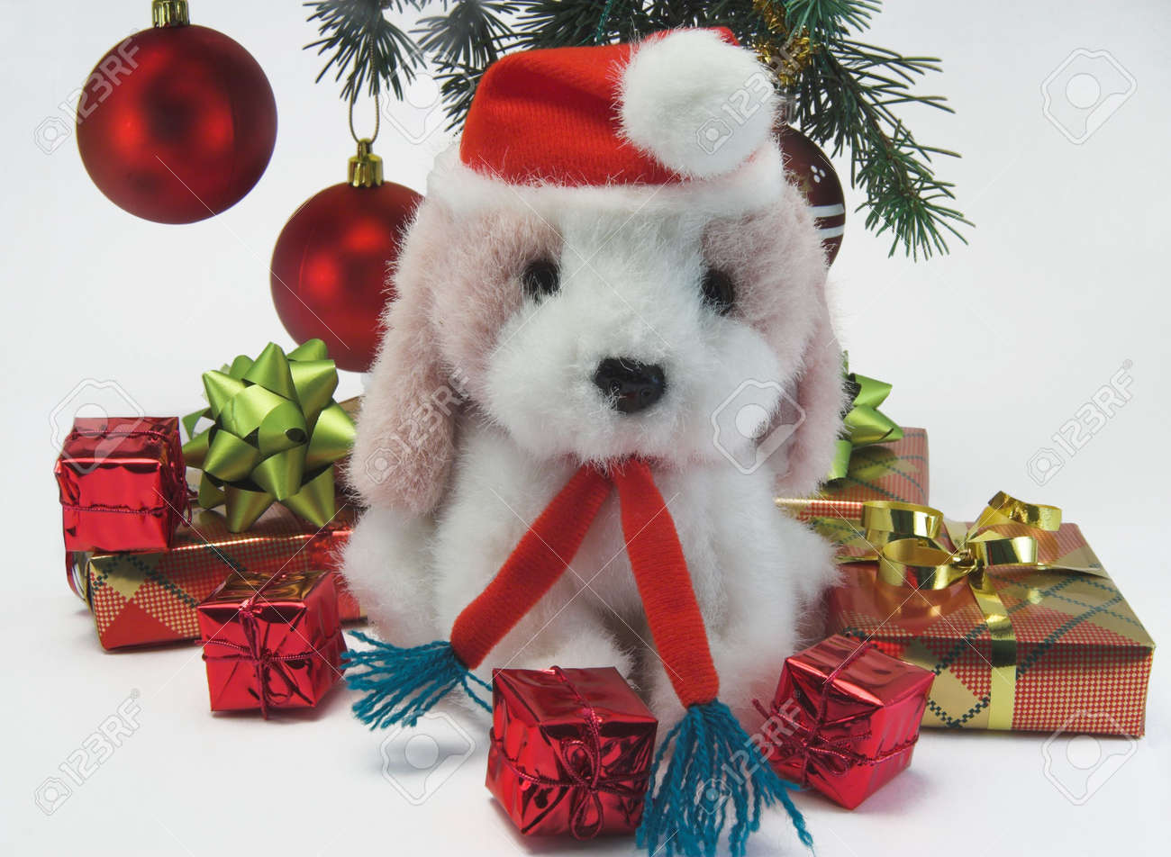 Stock Regali Di Natale.Immagini Stock Regali Di Natale Sotto L Albero Con Un Cane Giocattolo Image 232895