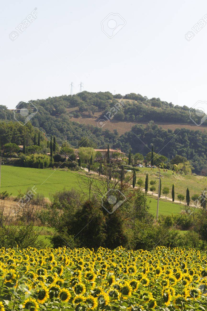 Italy - Alps, Mediterranean, Islands | Britannica, image size:865x1300