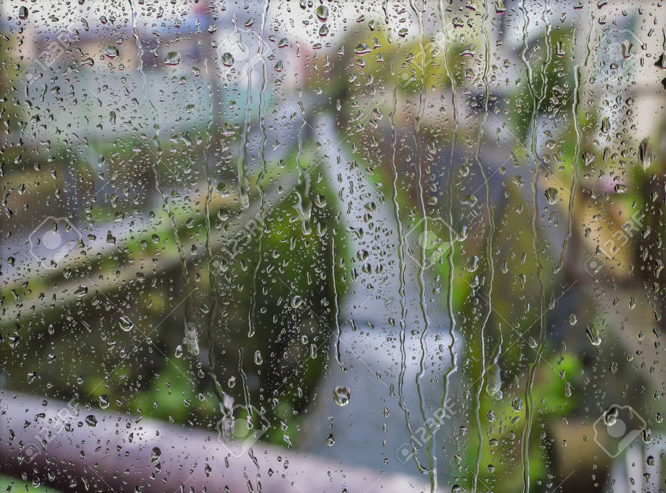 Paisaje De árboles De Calle En Día De Lluvia Fotos, Retratos, Imágenes Y  Fotografía De Archivo Libres De Derecho. Image 50312720.
