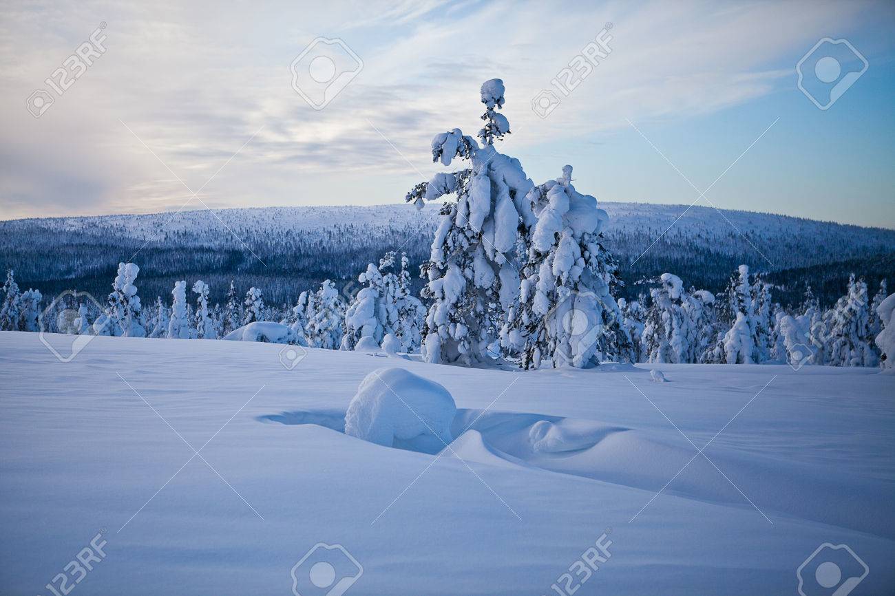 冬のフィンランドの雪風景 の写真素材 画像素材 Image