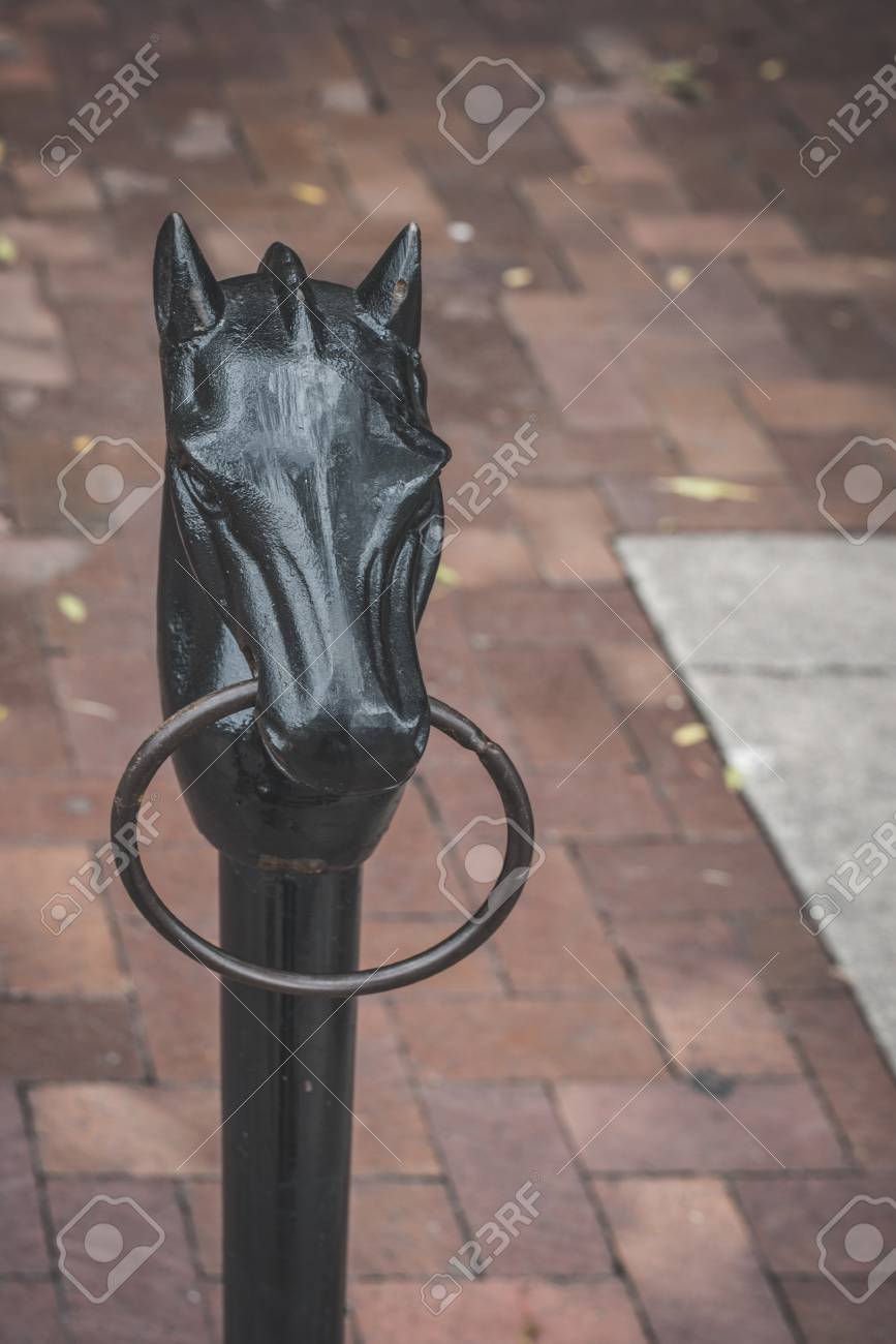 Iron Horse Tie Down On City Street Stock Photo Picture And Royalty Free Image Image