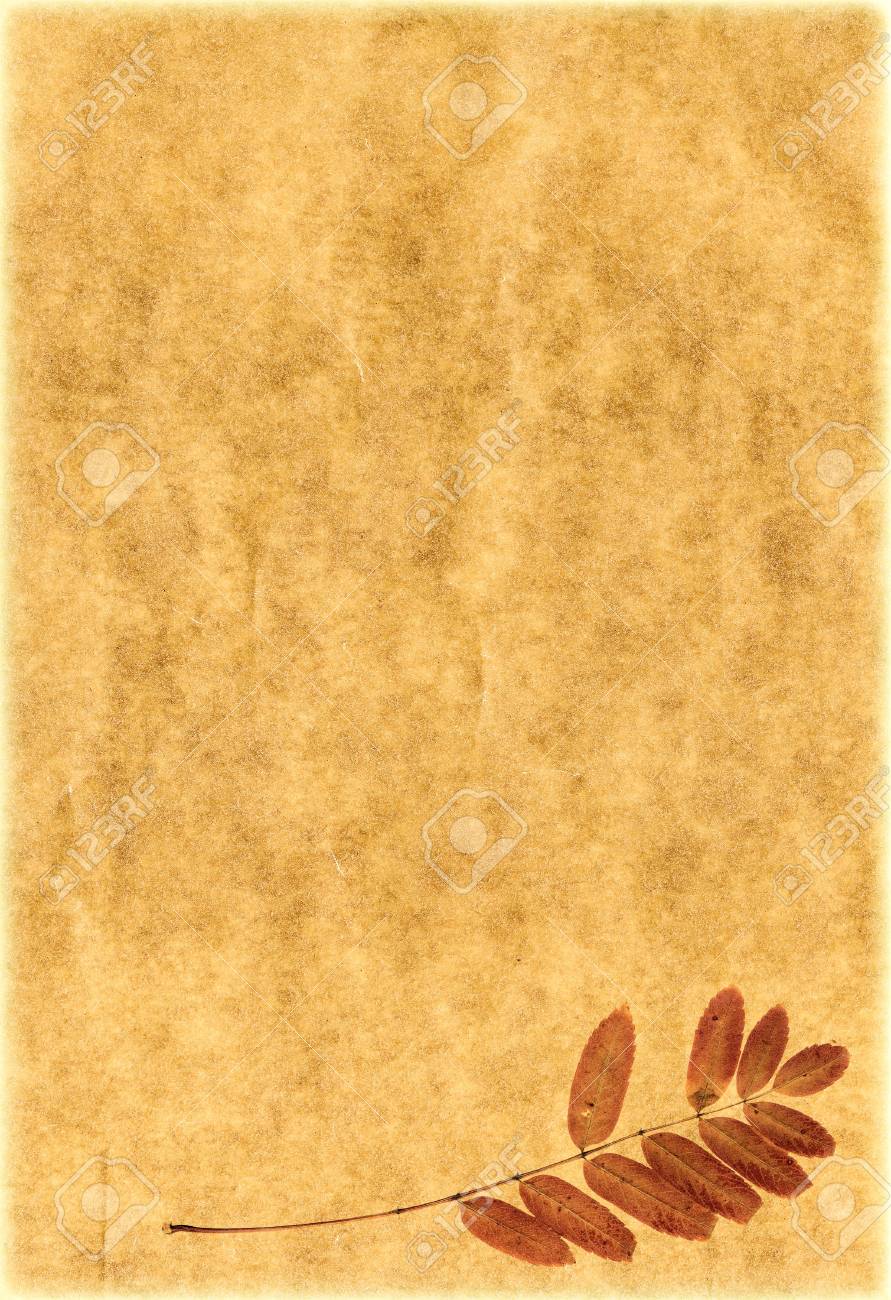 Vintage Paper Blank Template For Letter High Detailed This Image Stock Photo Picture And Royalty Free Image Image 5219516