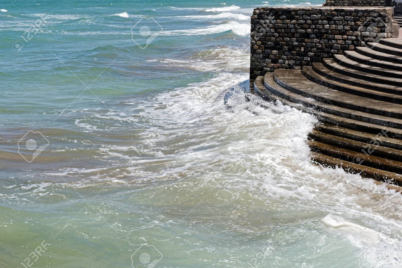 etiam-dictum-ipsum-a-felis