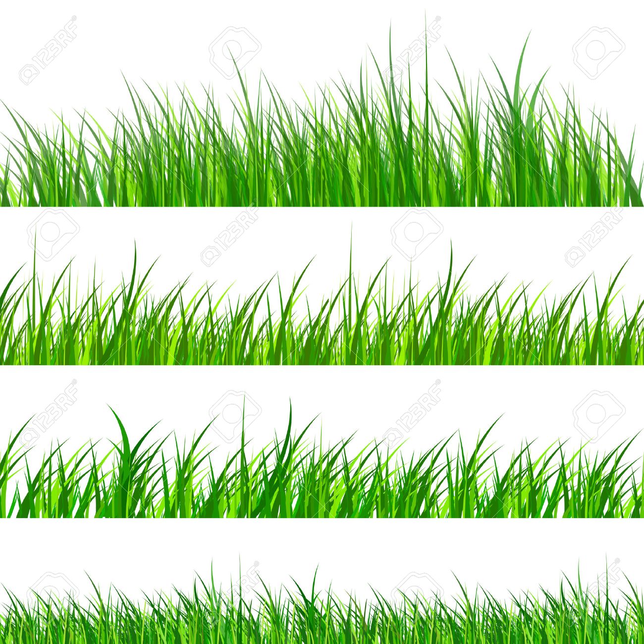 green grass samples isolated vector illustration royalty free free grass vector