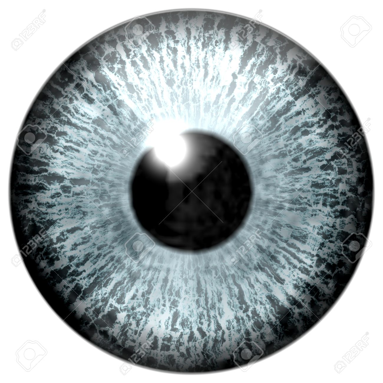 灰色のアイリス、白い静脈および黒い瞳と目の詳細の写真素材・画像素材