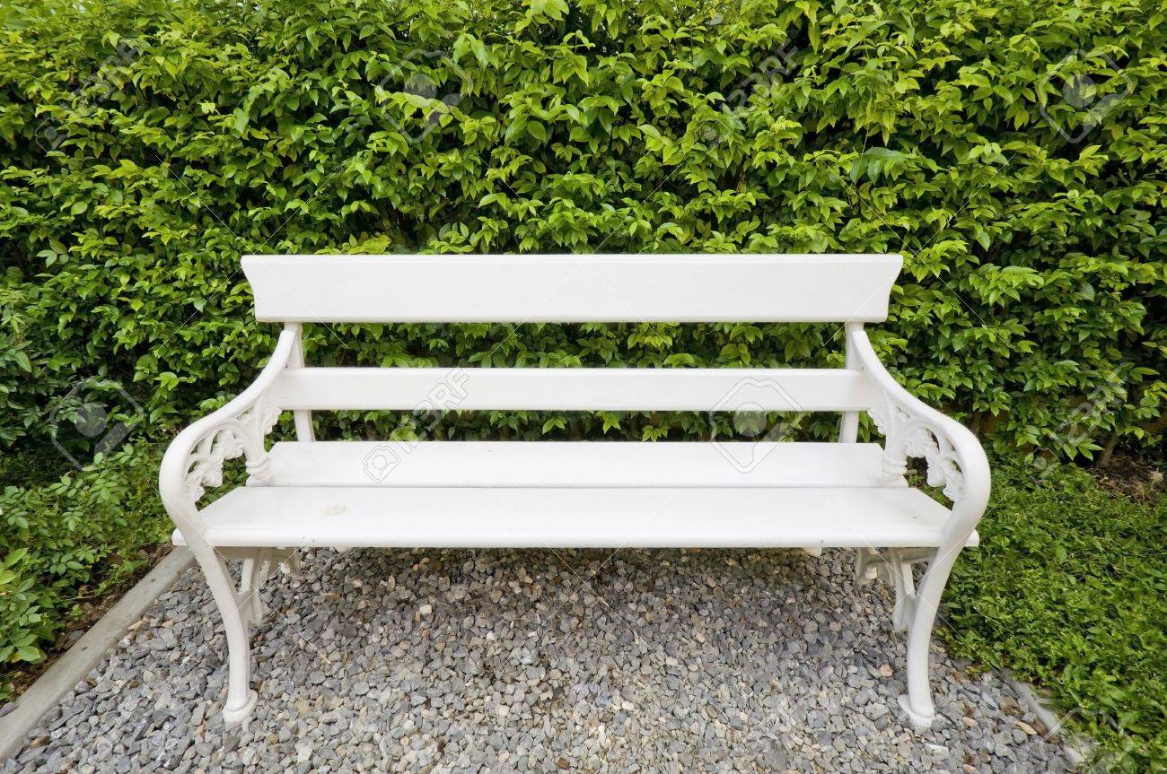 公園の白いベンチ の写真素材 画像素材 Image