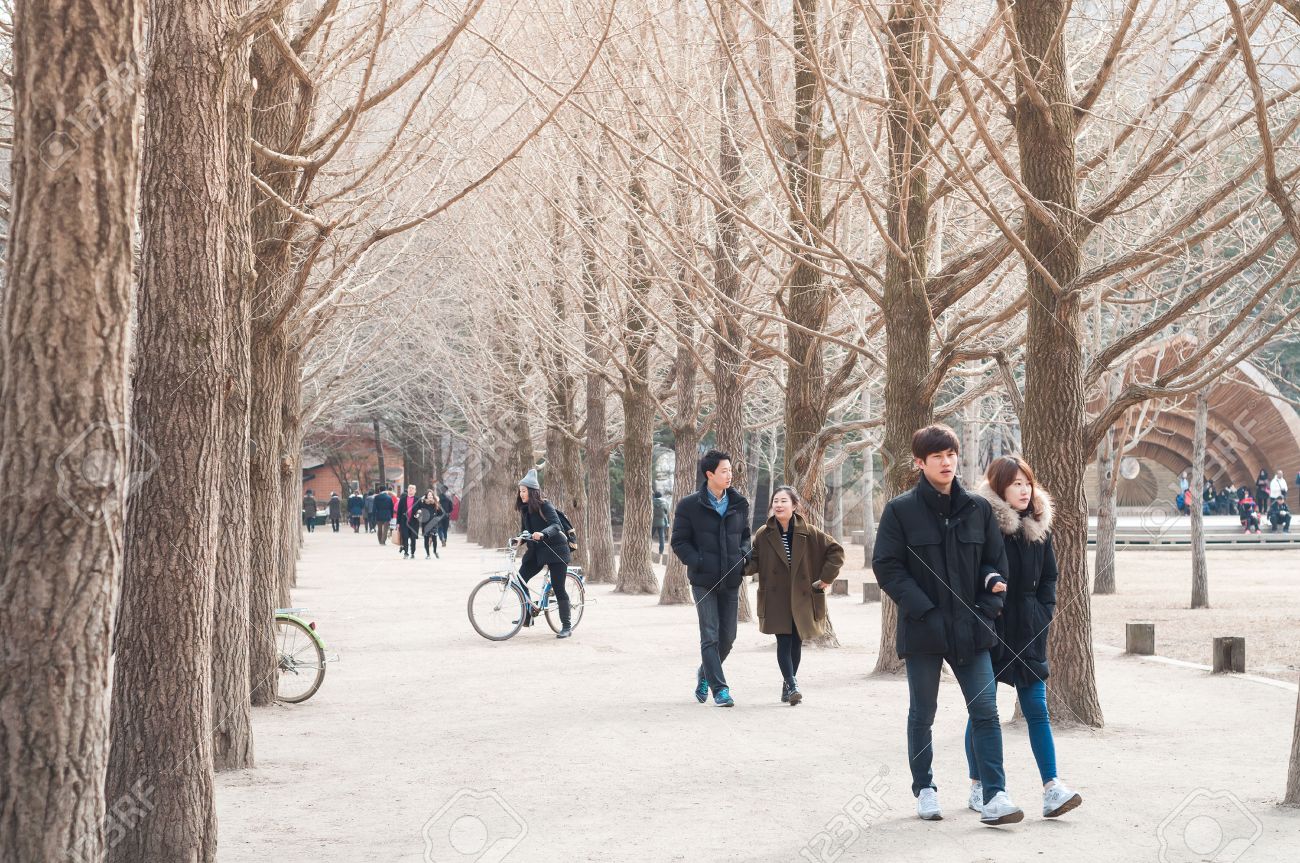 CHUNCHEON, SOUTH KOREA - OCT 07, 2014: Tourists enjoy one of the many tree-lined trails of Nami Island (Namiseom), where the popular Korean drama Winter Sonata was filmed. - 37757887 CHUNCHEON, SOUTH KOREA - OCT 07, 2014: Tourists enjoy one of the many tree-lined trails of Nami Island (Namiseom), where the popular Korean drama Winter Sonata was filmed. - 37757887