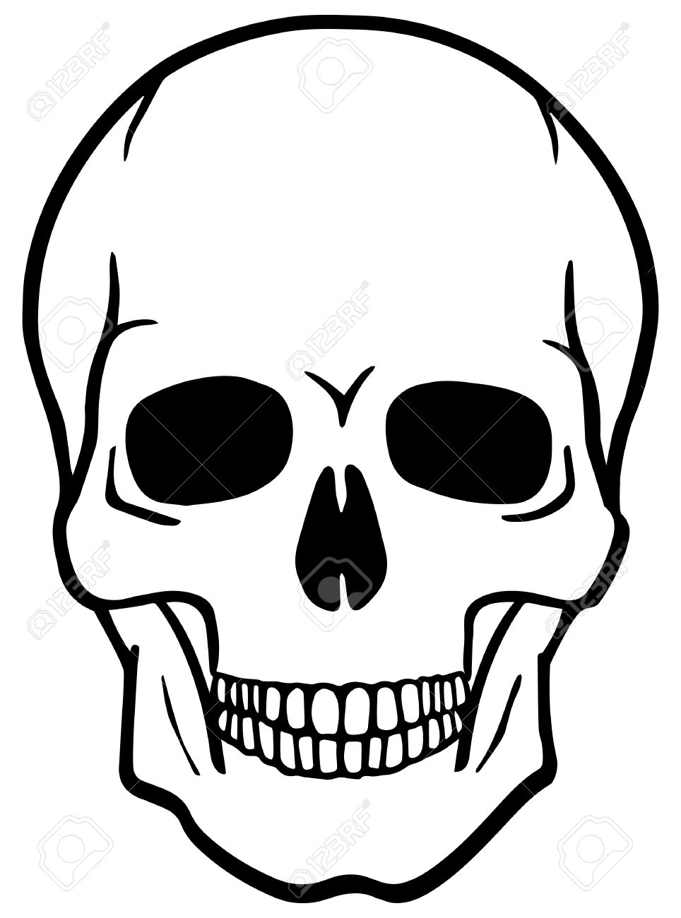 free skull vector