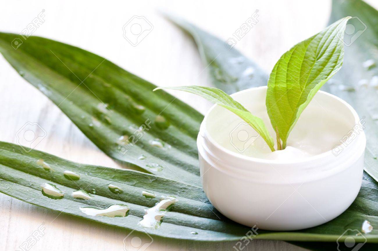 green leaf face cream