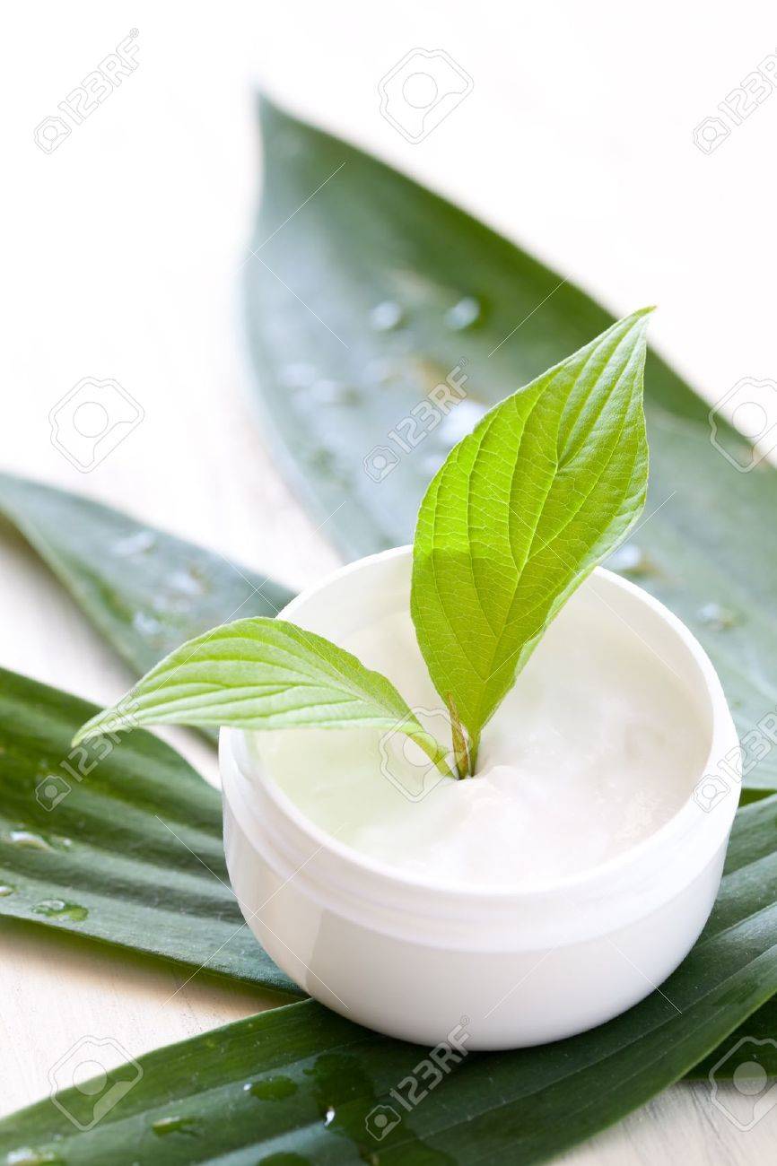 green leaf face cream