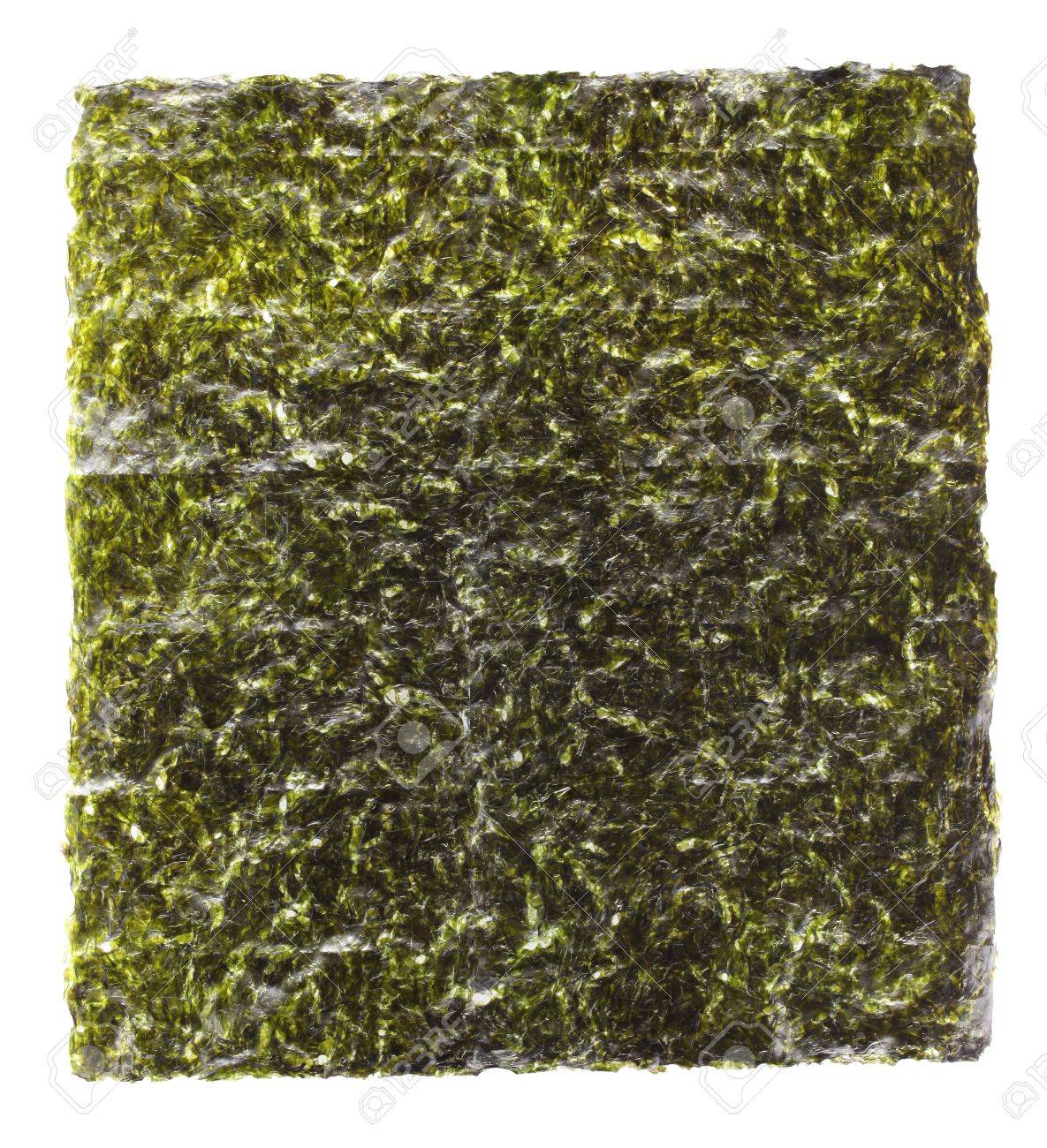 Japanese Nori Hot Sale, 55% OFF | www.ingeniovirtual.com Japanese Nori Hot Sale, 55% OFF | www.ingeniovirtual.com
