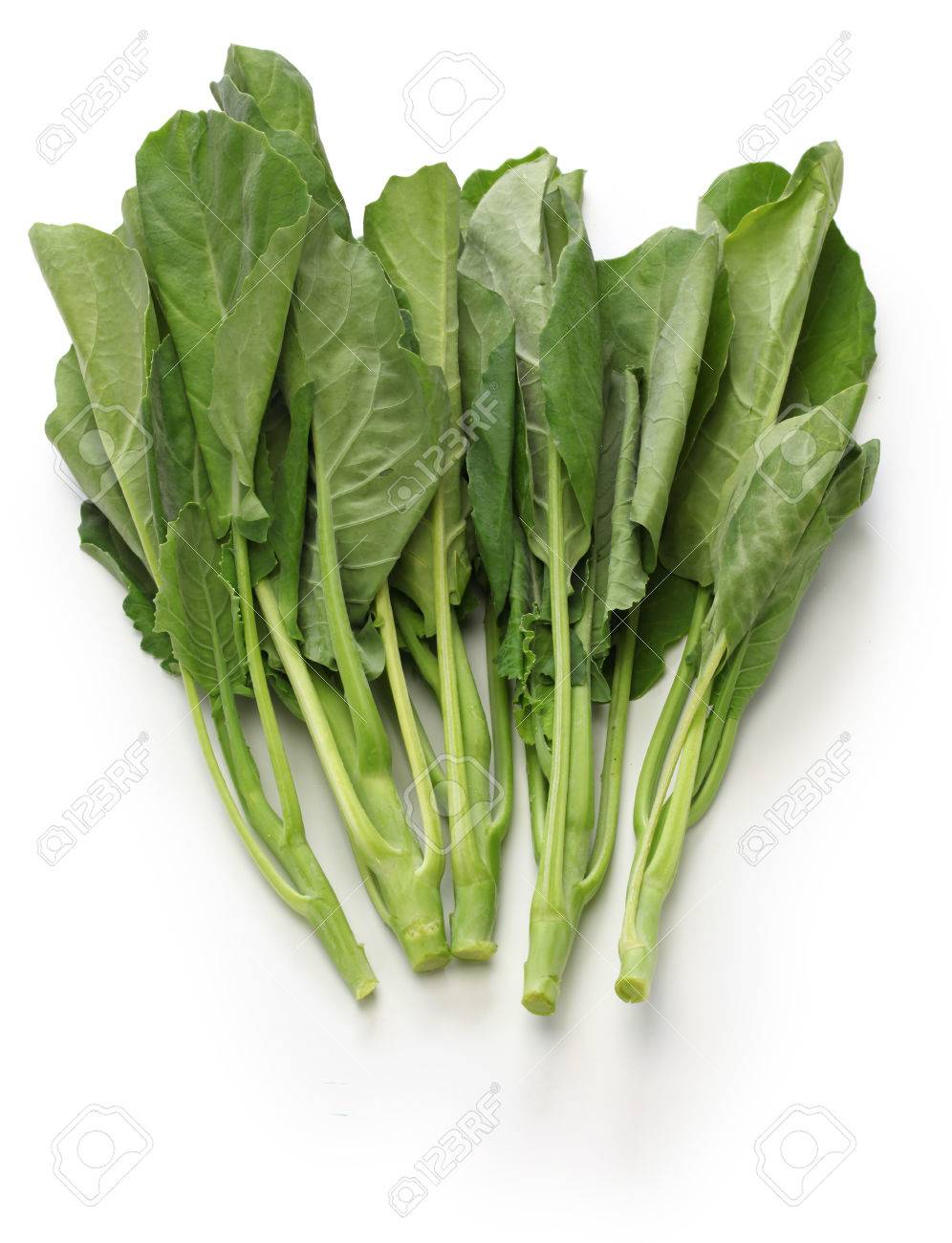 Chinese Kale Chinese Broccoli Isolated On White Background Stock Photo Picture And Royalty Free Image Image 83073393