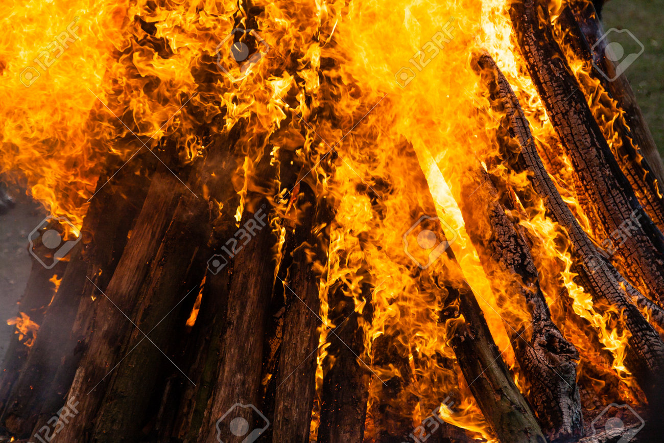 etiam-dictum-ipsum-a-felis