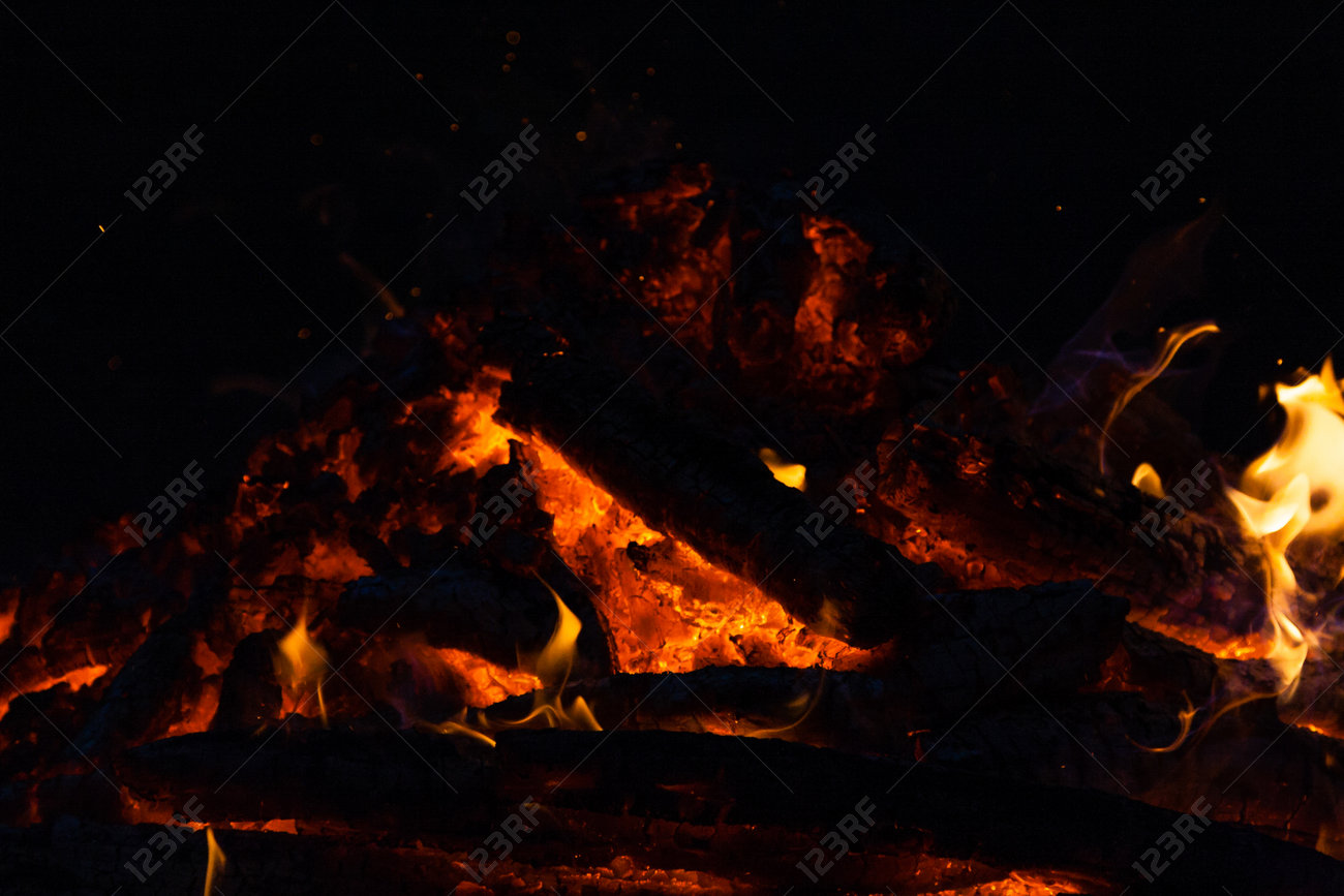 etiam-dictum-ipsum-a-felis