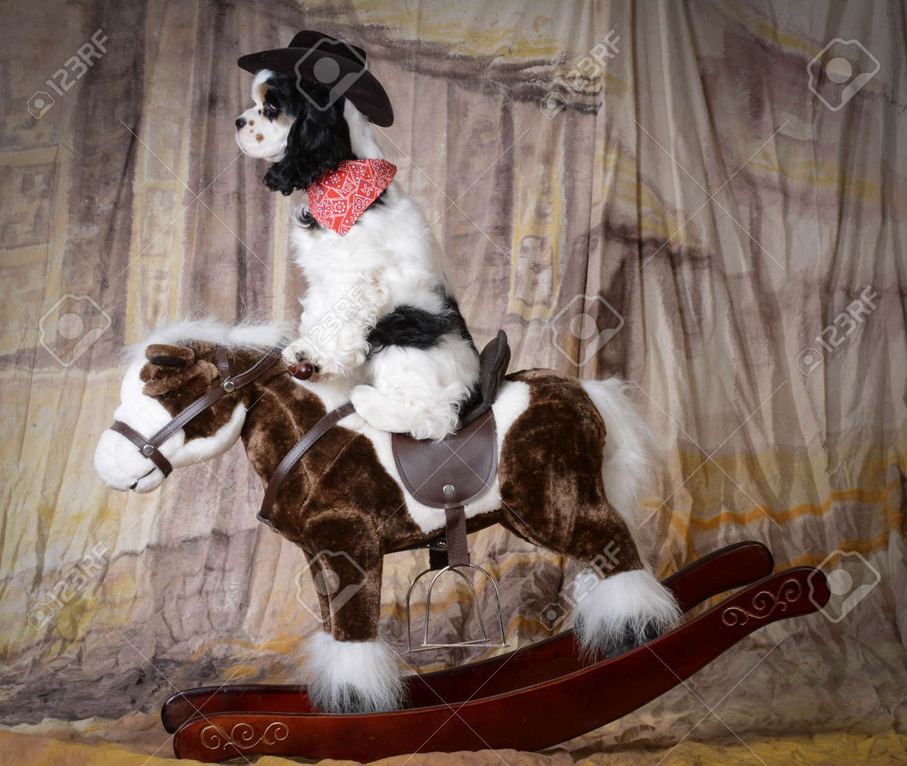 puppy rocking horse