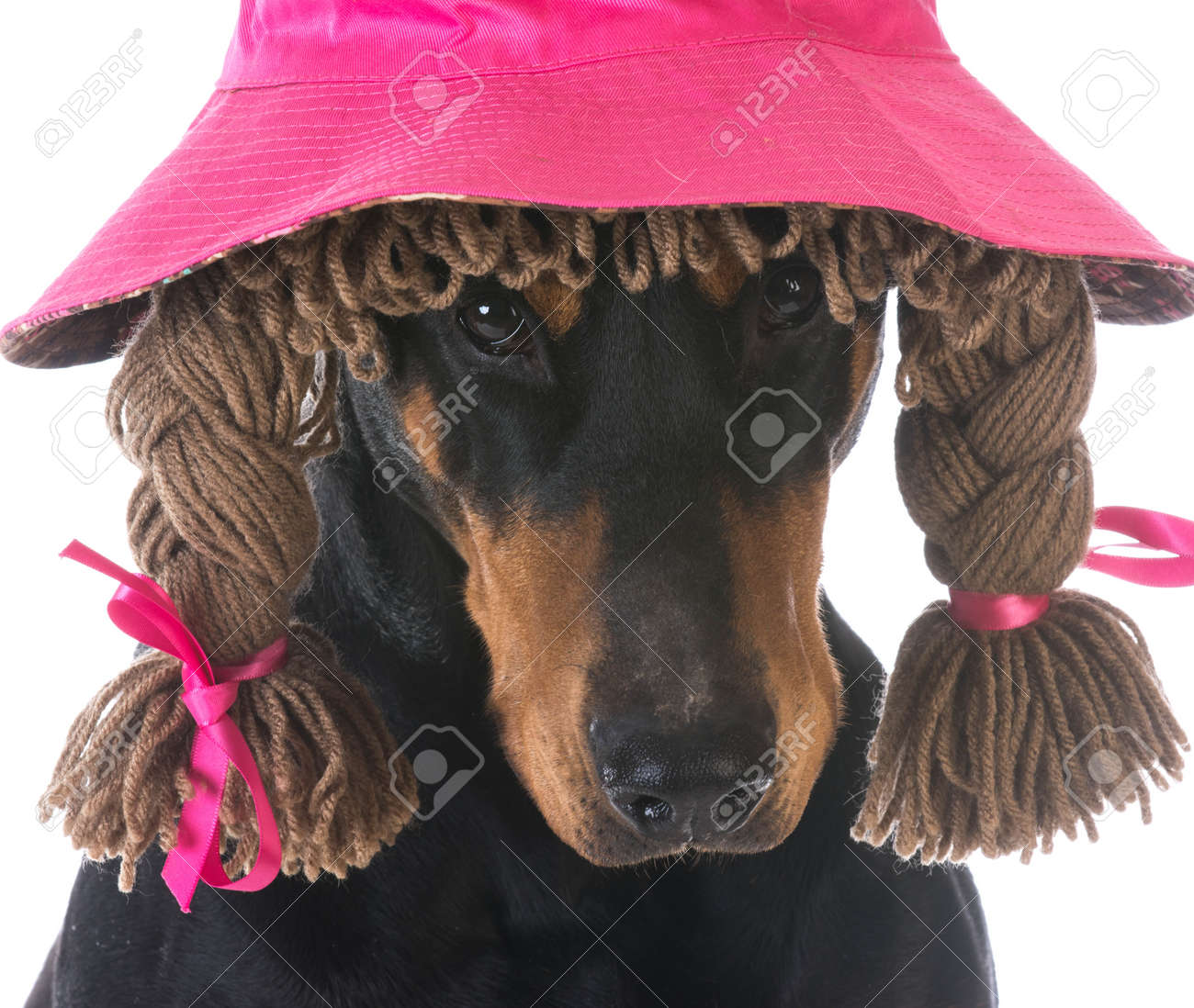 doberman hat