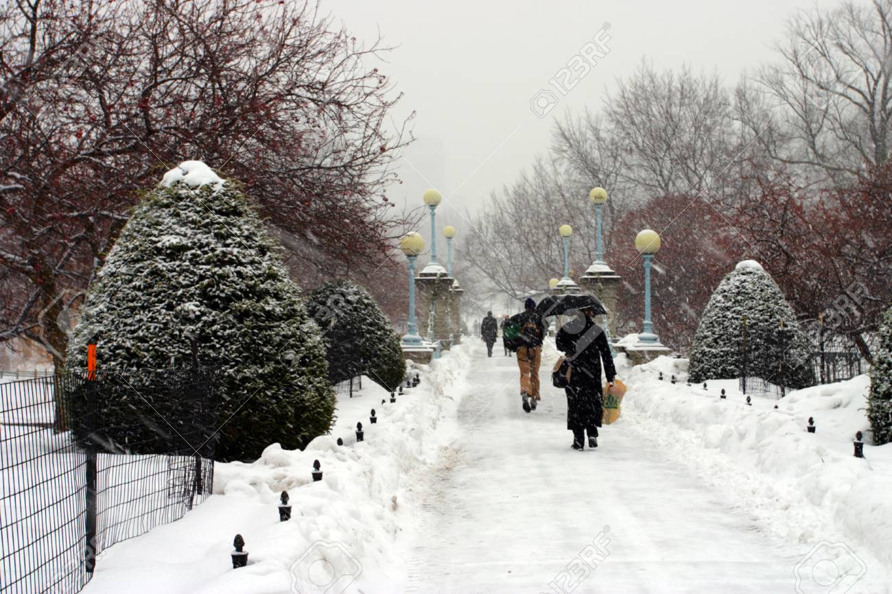 雪が降る冬のボストン マサチューセッツ アメリカでの画像ストック の写真素材 画像素材 Image 雪が降る冬のボストン マサチューセッツ アメリカでの画像ストック の写真素材 画像素材 Image