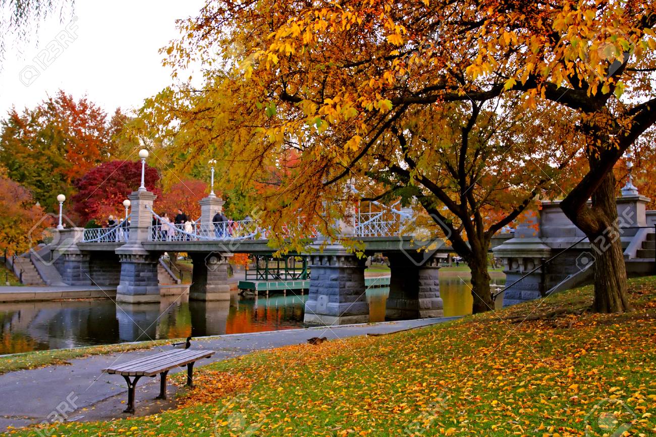 https://previews.123rf.com/images/coleong/coleong1502/coleong150200772/37195554-stock-image-of-fall-foliage-at-boston-public-garden.jpg