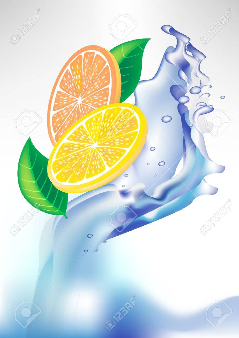 Fresh Lemon Orange Slices In Water Splash Royalty Free Cliparts Vectors And Stock Illustration Image 10852320