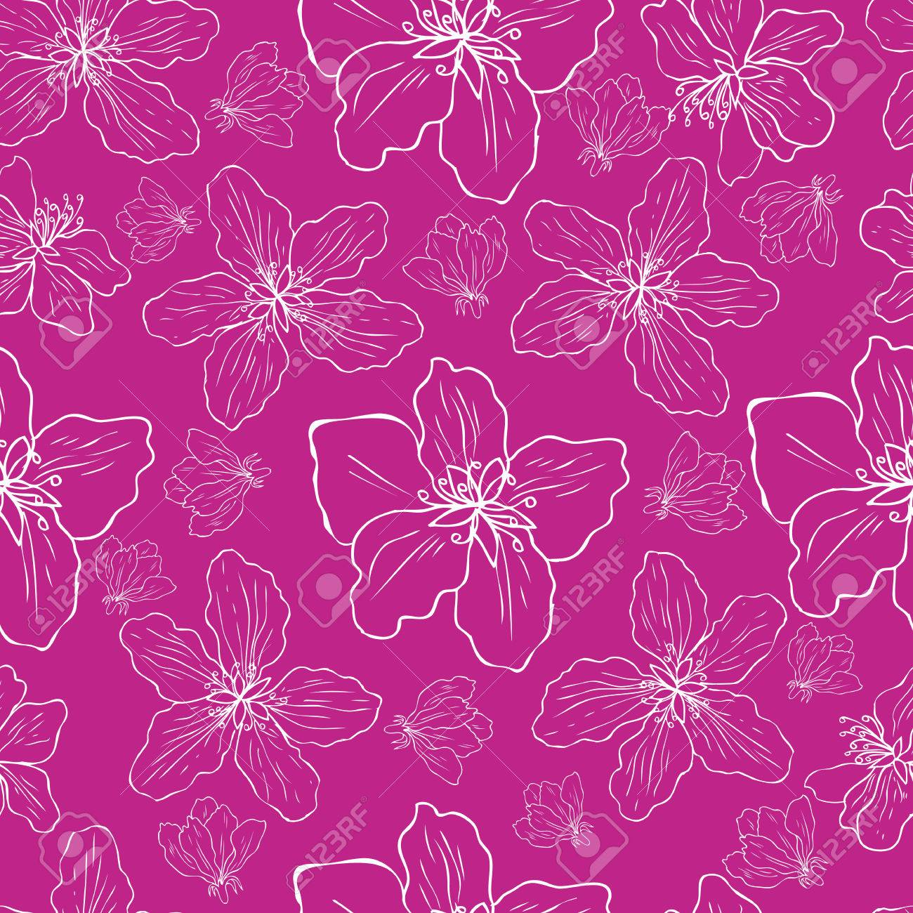 アップル花木花カラフル スケッチ手描きグリーティング カードは ピンクの桜 シームレス花柄ピンクの背景に分離されたパッケージ デザイン化粧品 結婚式招待状 壁紙 のイラスト素材 ベクタ Image