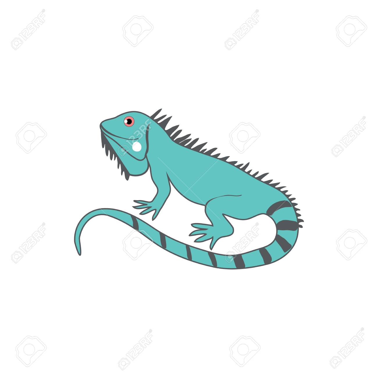 Iguana Linda De Dibujos Animados, Ilustración Colorida De Vector De  Animales Exóticos Salvajes, Pequeño Reptil Aislado Sobre Fondo Blanco,  Gesko Decorativo, Alfabeto De Zoológico Abc Para Niños, Diseño De  Personajes, Mascota Ilustraciones
