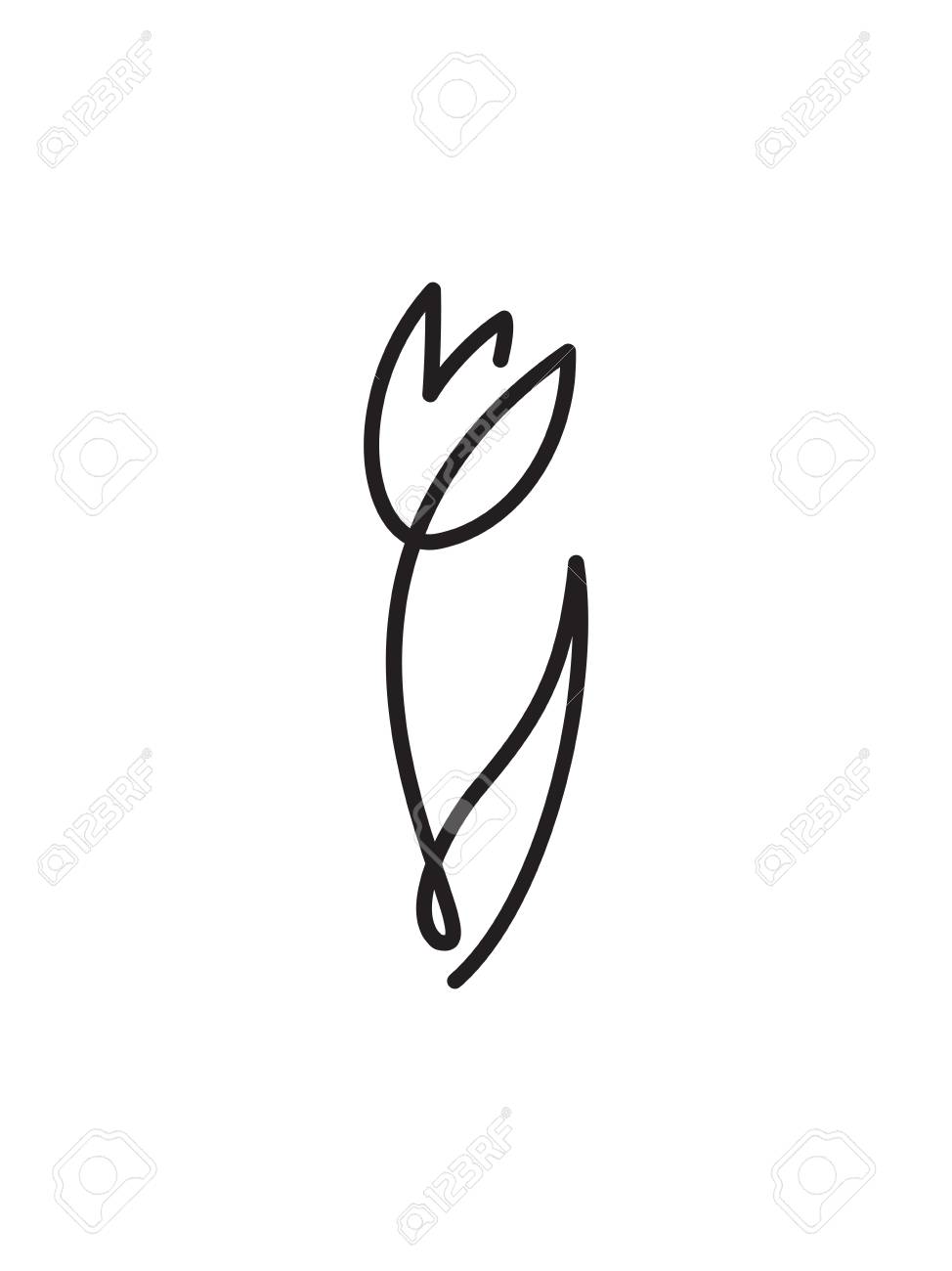 Arte De Linea De Flor De Tulipan Dibujo De Contorno Minimalista Obra De Una Linea Ilustraciones Vectoriales Clip Art Vectorizado Libre De Derechos Image 95362844