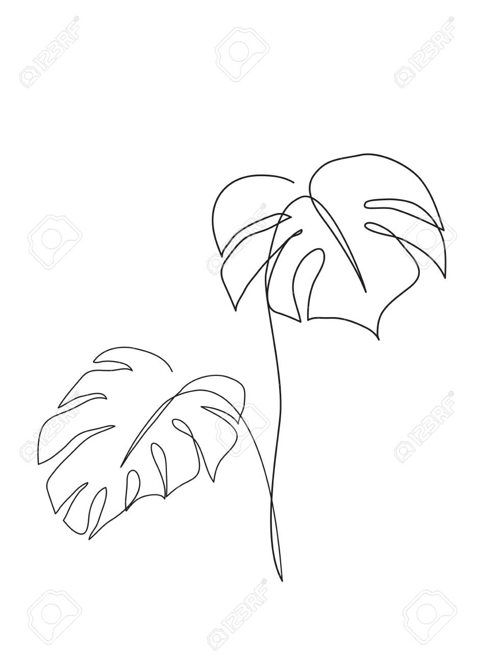 Art De La Feuille De Monstera Dessin De Contour Art Du Minimalisme Décor Moderne