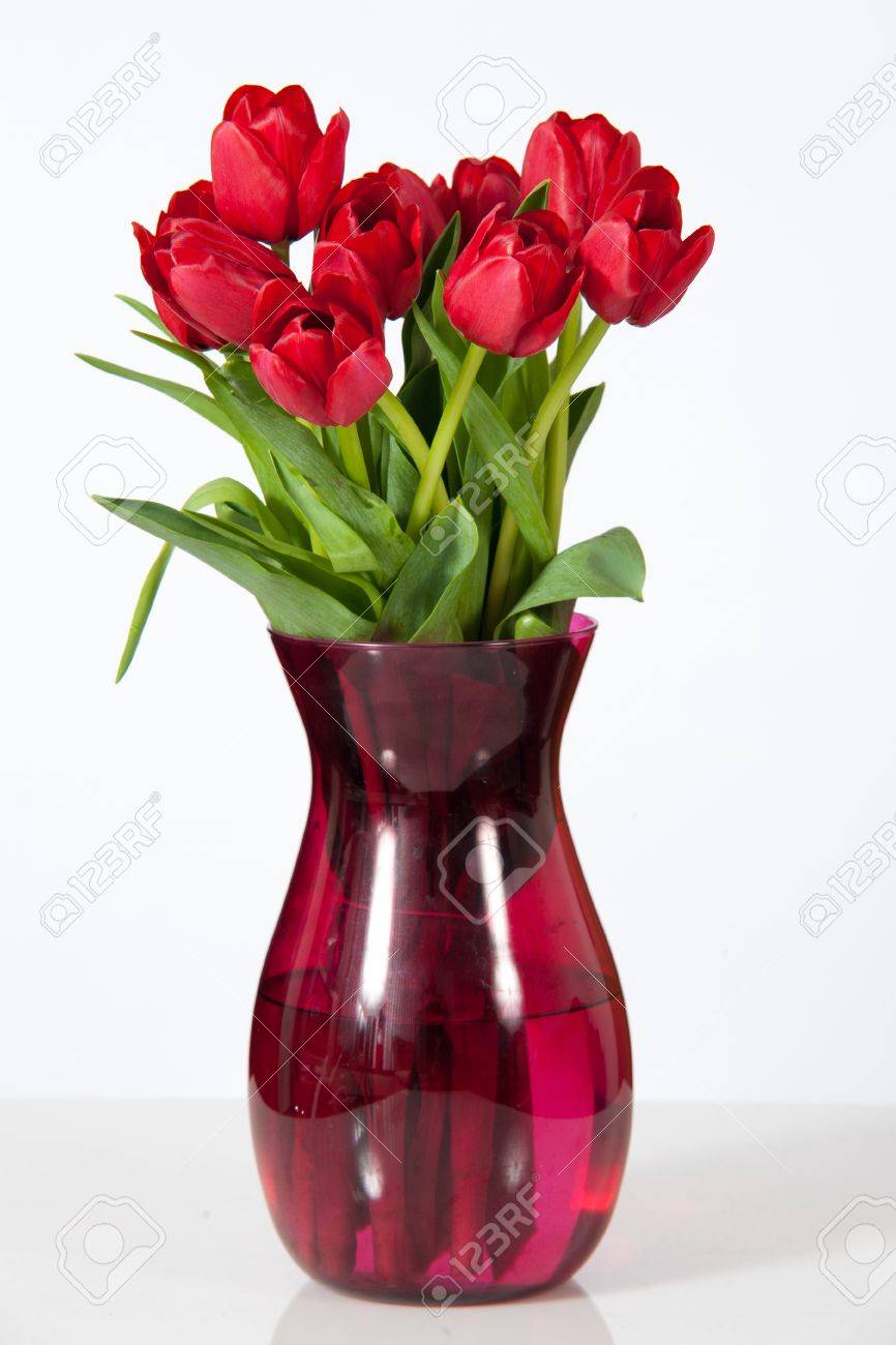 Red tulips in a glass vase set against a white background photo Красные тюльпаны в наборе стеклянной вазе на белом фон