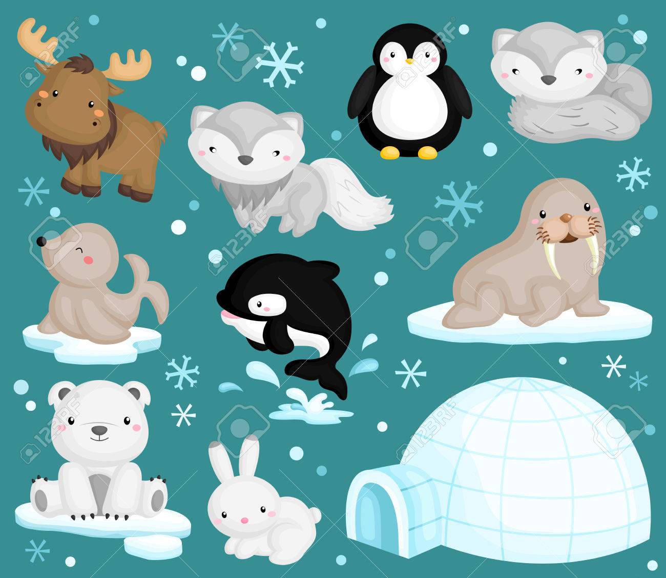 animal vectors