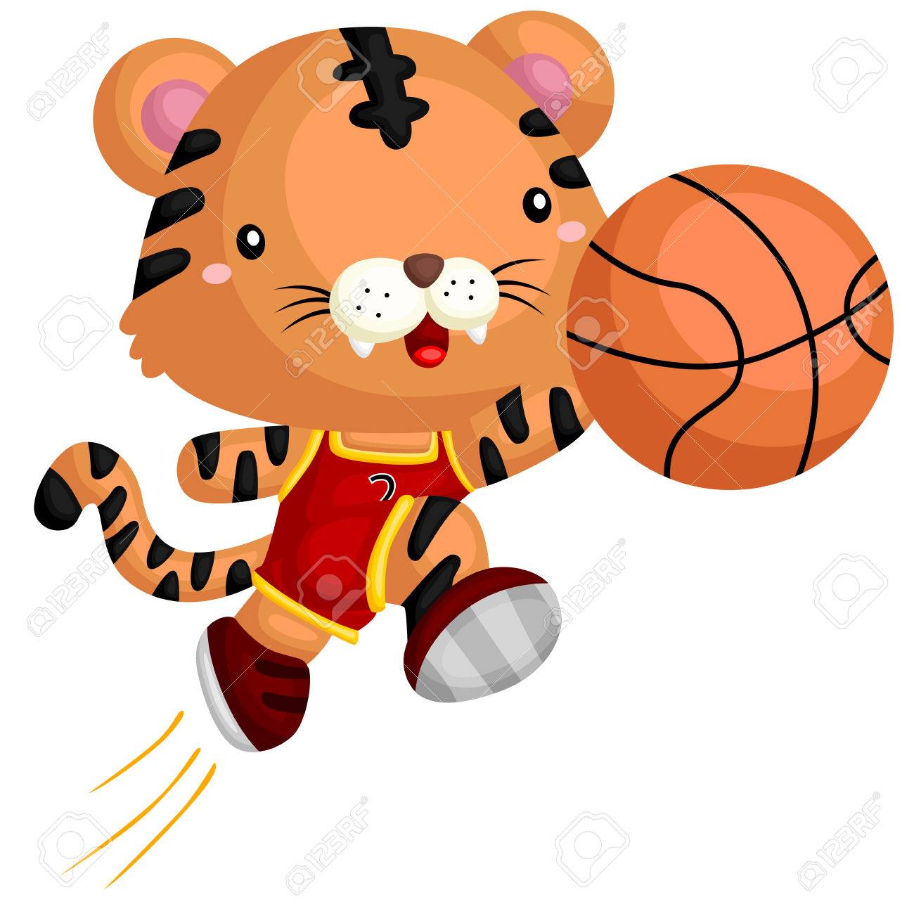 basket tiger