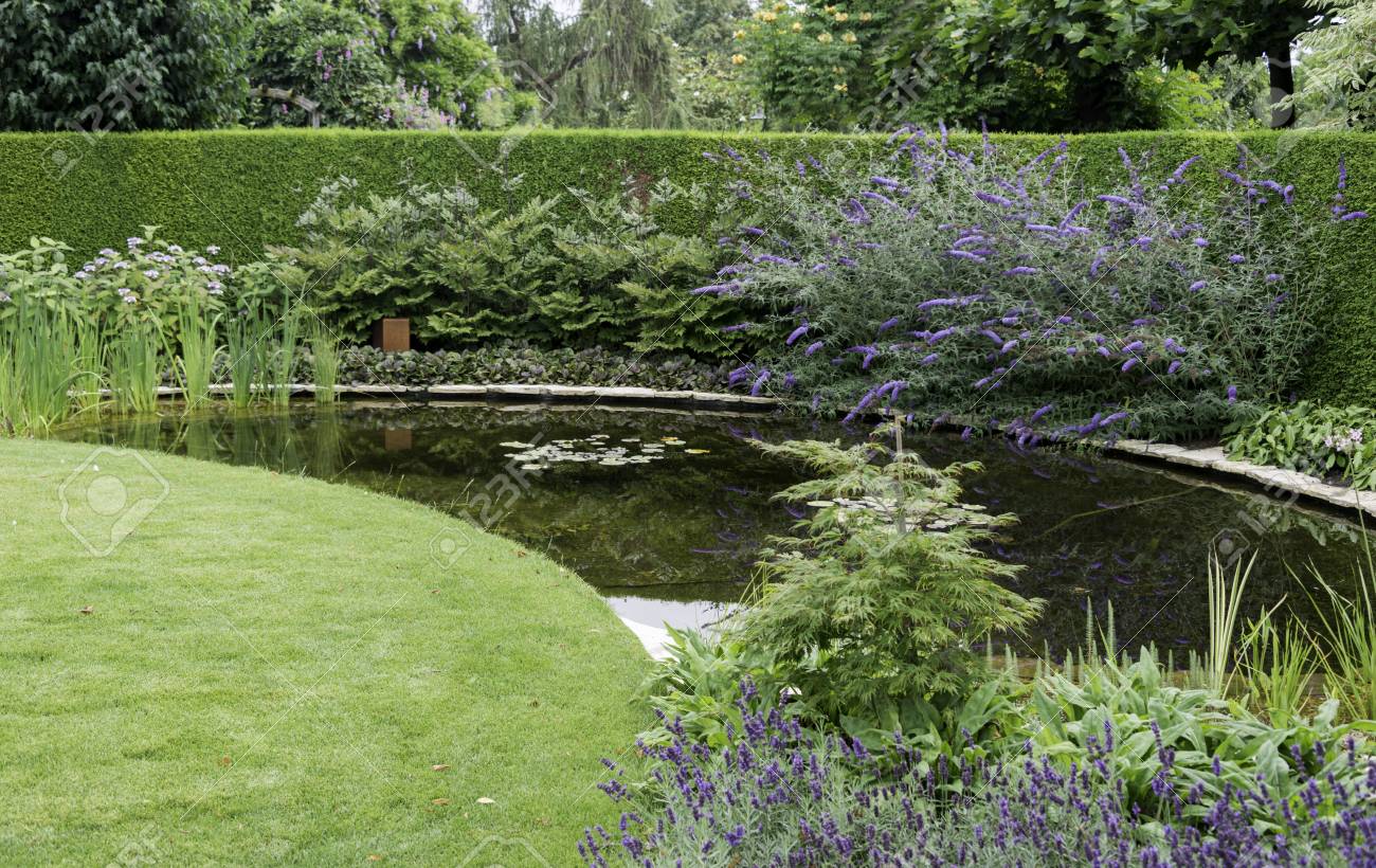 Englisch Garten Mit Grunem Gras In Der Nahe Eines Kleinen Wasser Und Pflanzen Blumen Wie Buddleja Lizenzfreie Fotos Bilder Und Stock Fotografie Image 60351813
