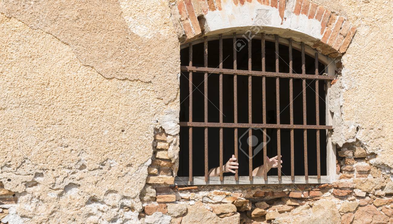 etiam-dictum-ipsum-a-felis