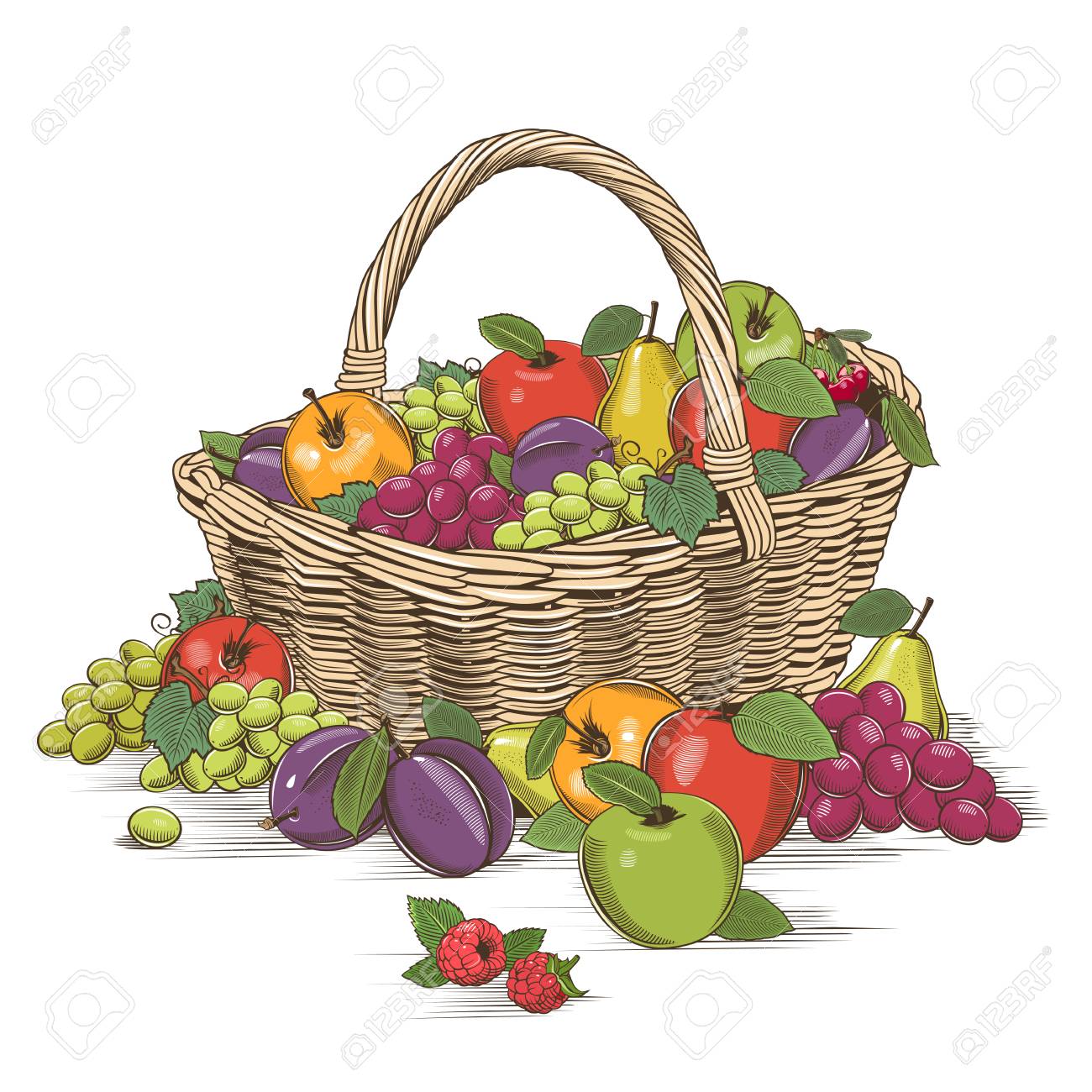 木版画のスタイルでフルーツ バスケットの写真素材・画像素材 Image