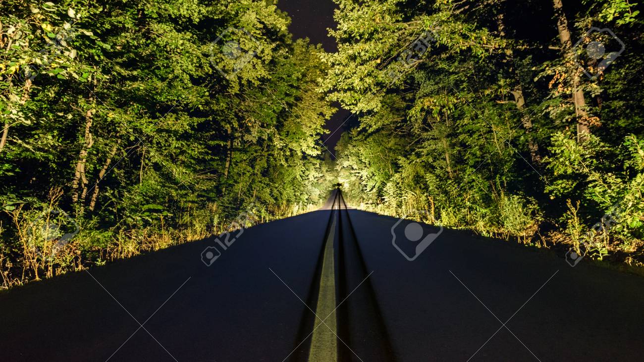 夜の林道 の写真素材 画像素材 Image
