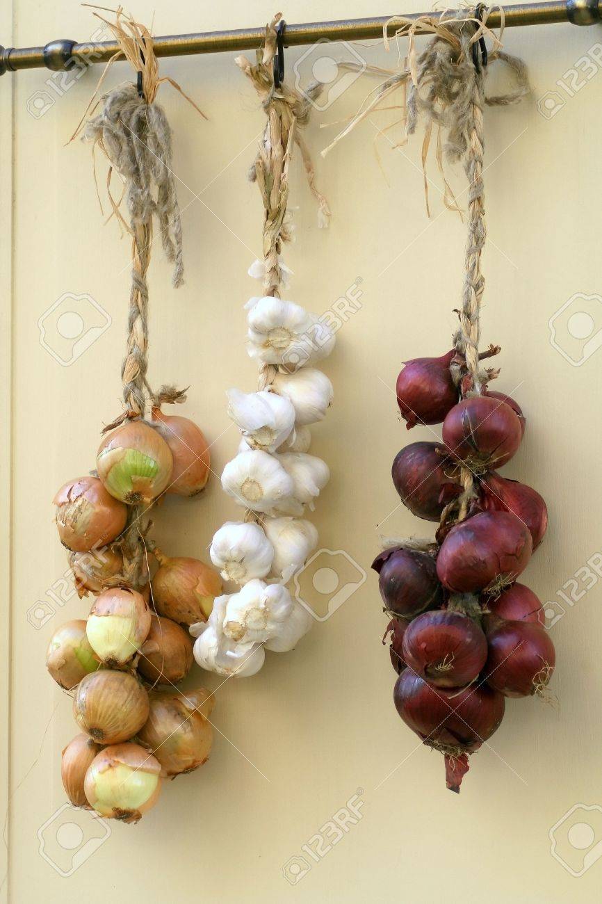 Trenzas De Ajo Y Fotos, Retratos, Y Fotografía De Archivo Libres De Derecho. Image 2568511.